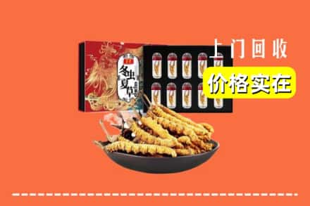 武汉市汉南回收冬虫夏草