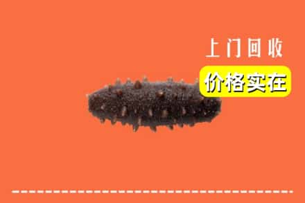 武汉市汉南回收海参