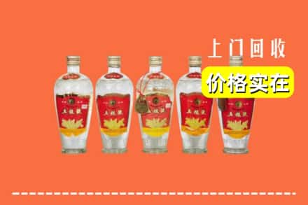 武汉市汉南回收老五粮液